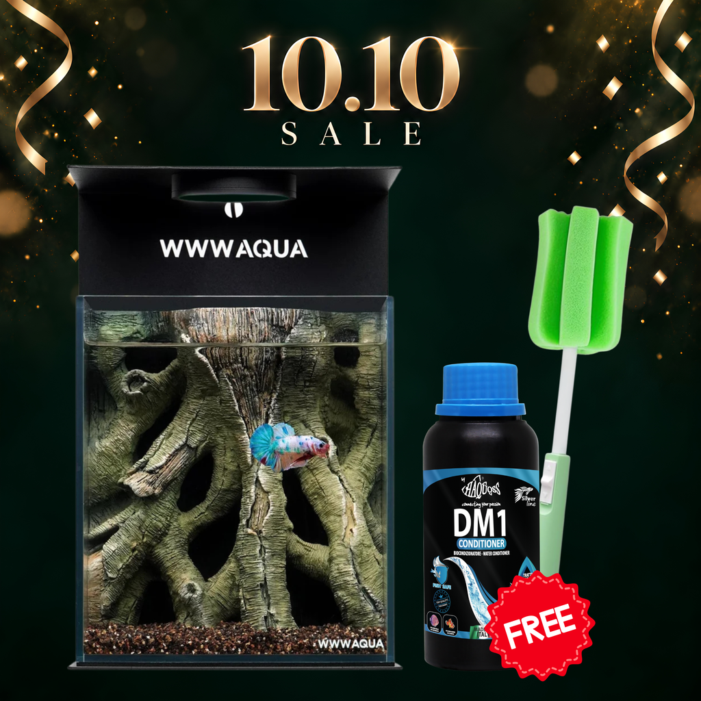 [NEW LAUNCH] WWWAQUA | Ancient Vine
