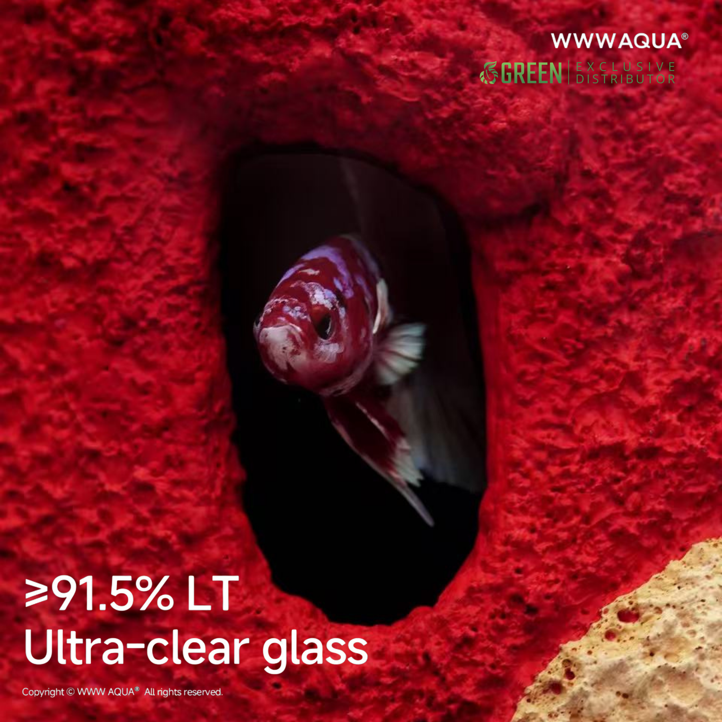 WWWAQUA | 马ney (The Lunar Edition)