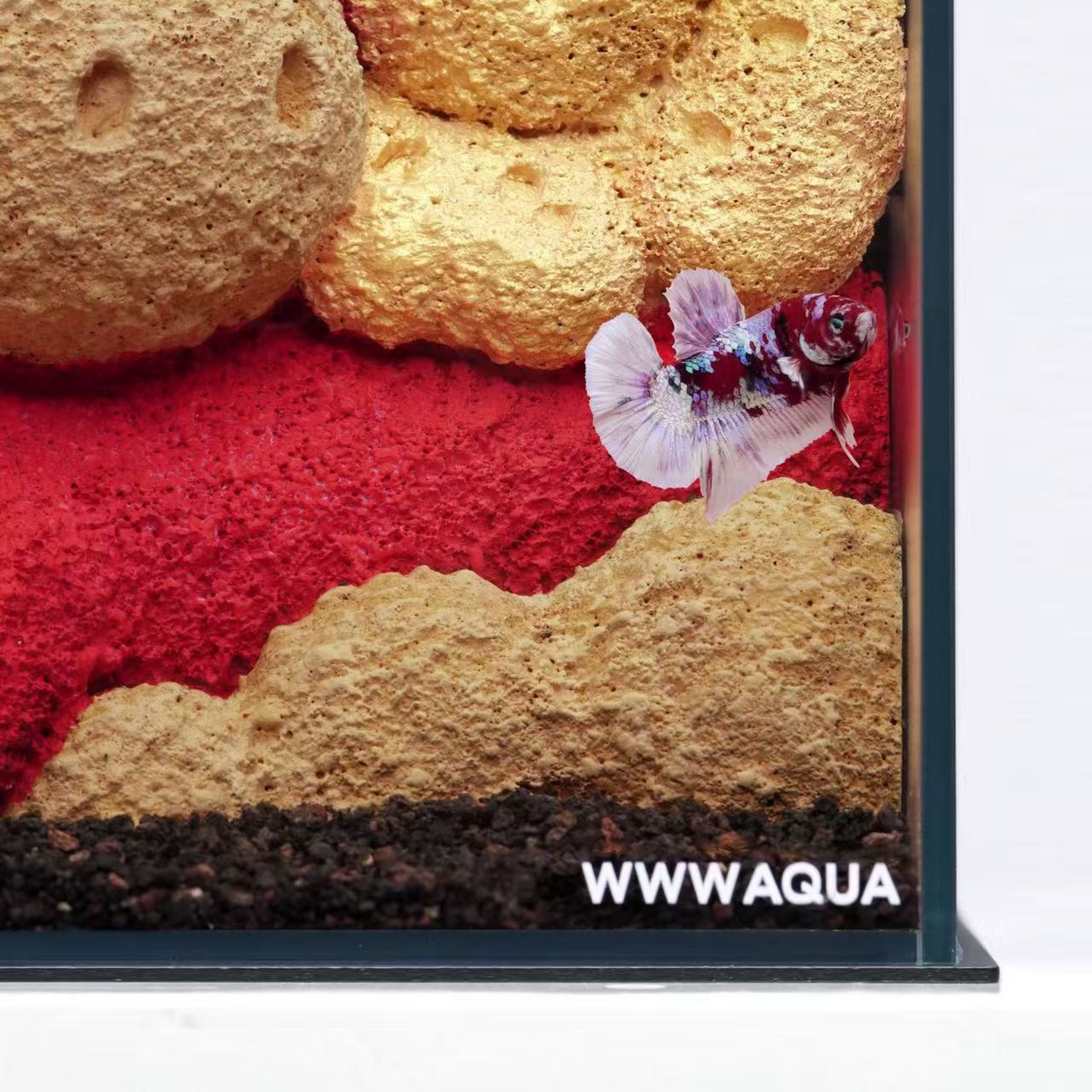 WWWAQUA | 马ney (The Lunar Edition)