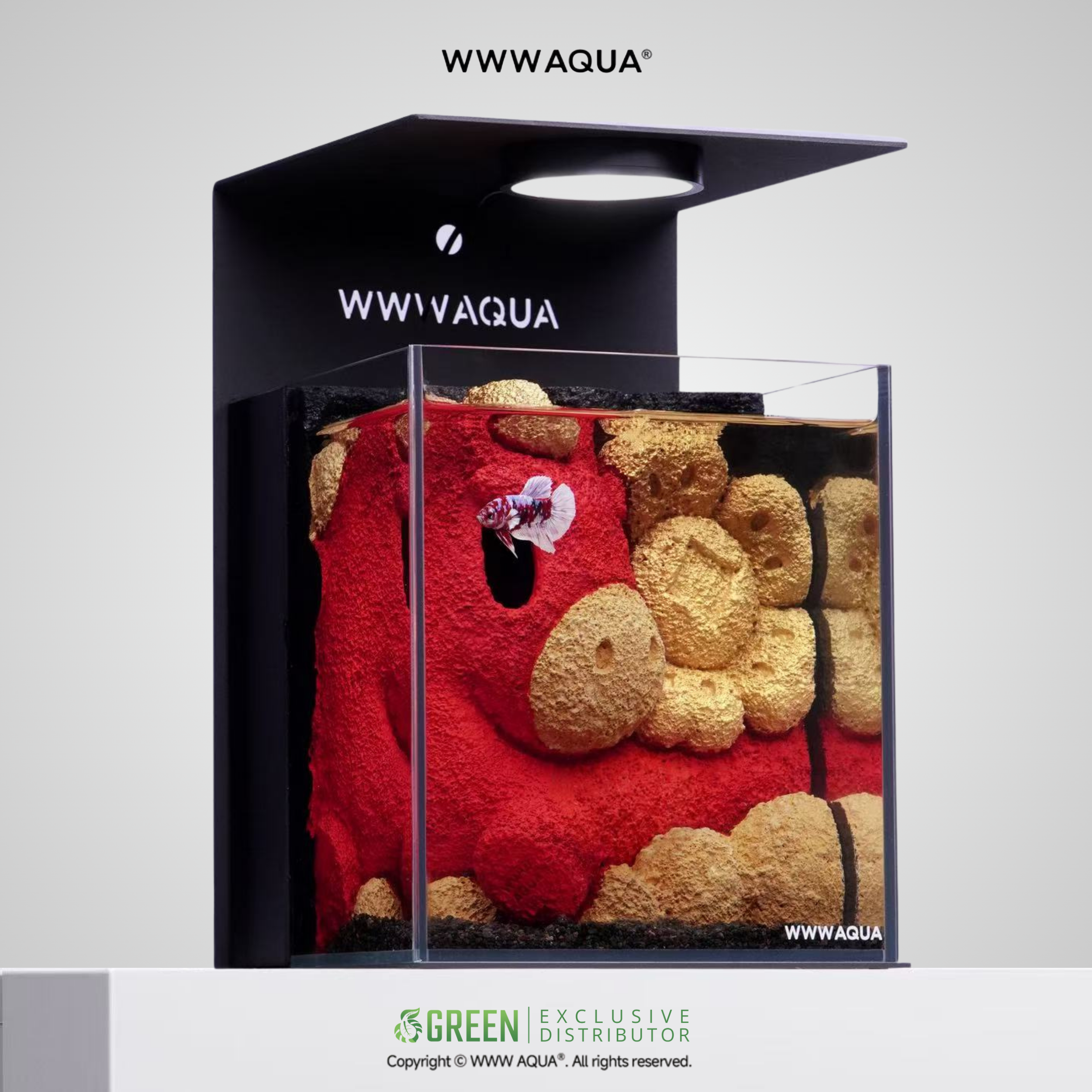 WWWAQUA | 马ney (The Lunar Edition)