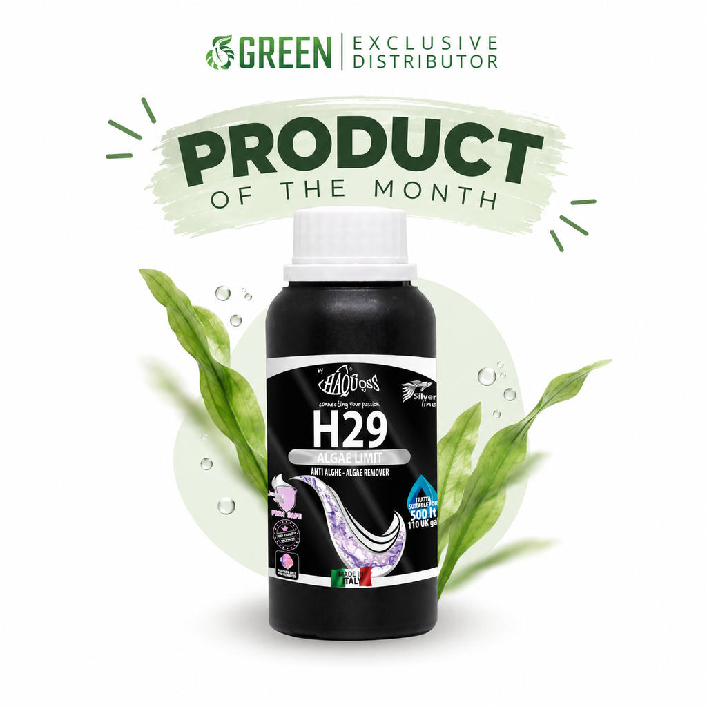 HAQUOSS H29 - ALGAE LIMIT 100ml