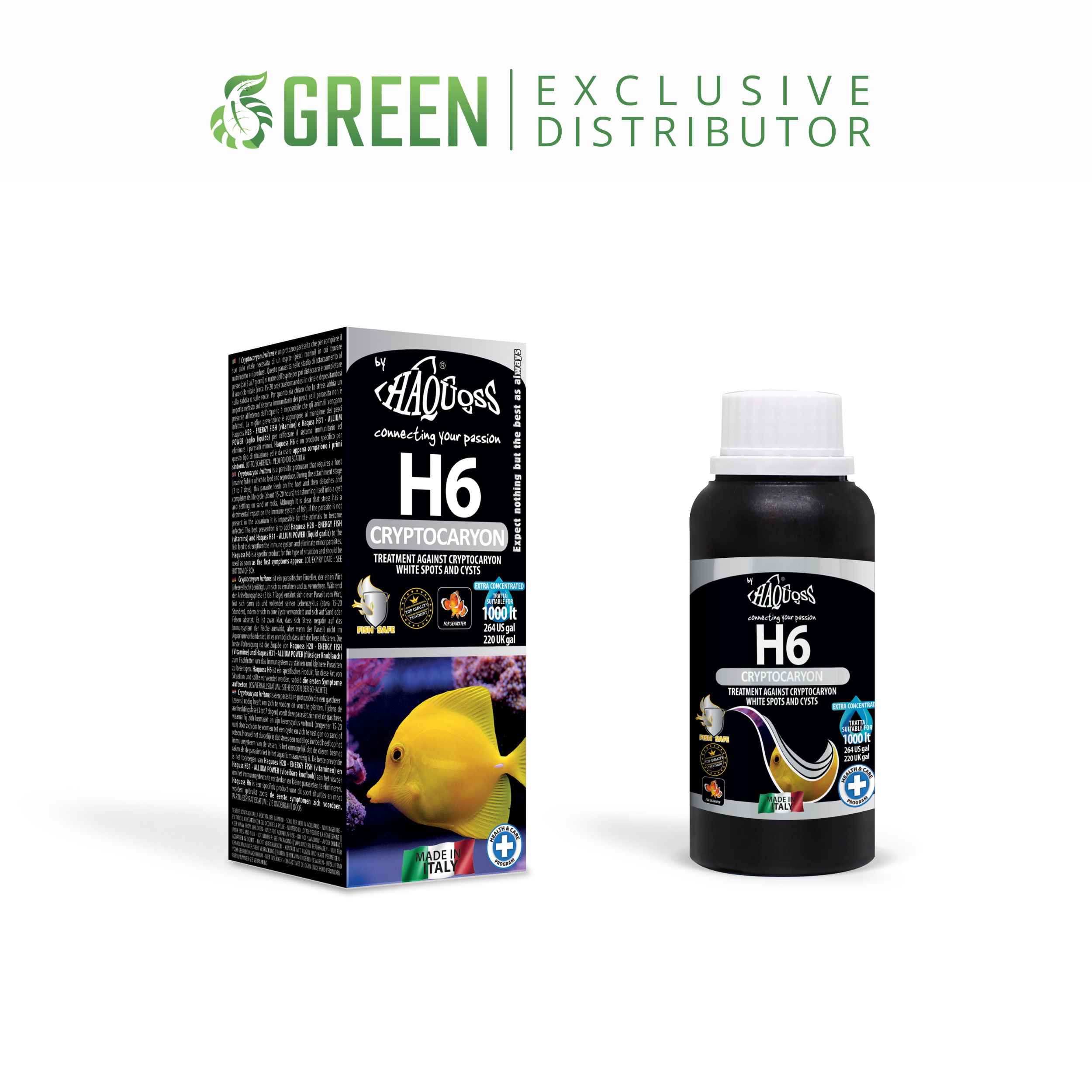 HAQUOSS H6 - CRYPTOCARYON