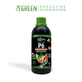 HAQUOSS P6 - IRON BOOSTER 100ml