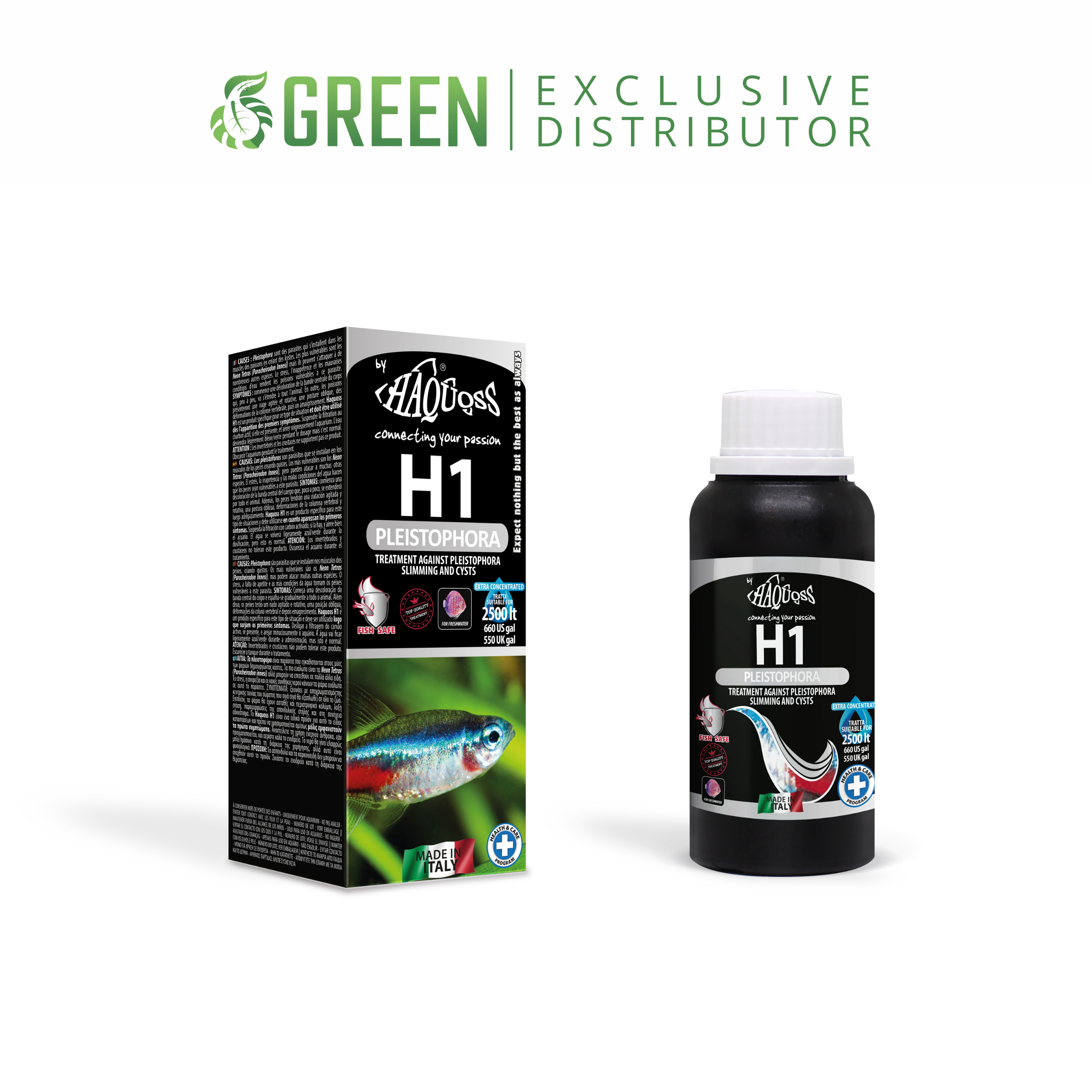HAQUOSS H1 - PLEISTOPHORA