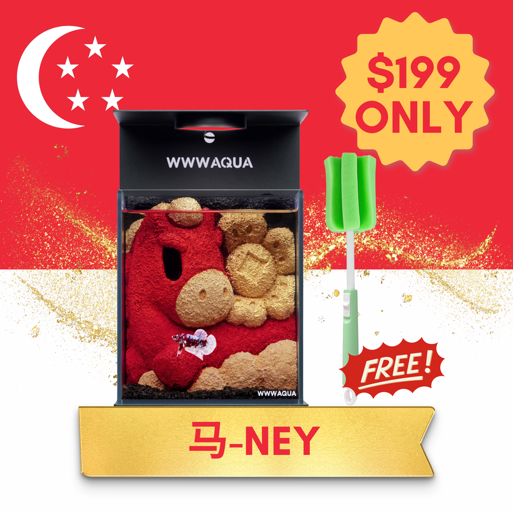[NDP 2026] WWWAQUA | 马ney (The Lunar Edition)