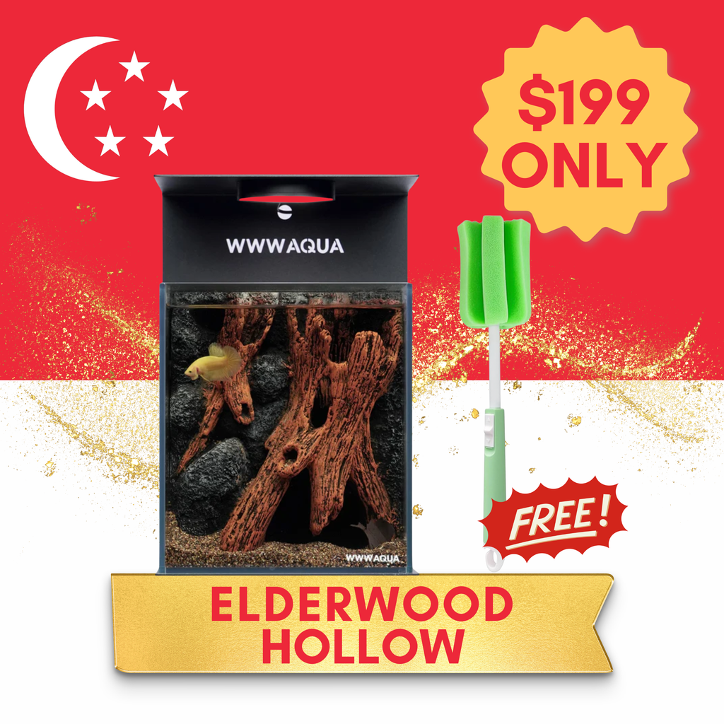 [NDP 2026] WWWAQUA | Elderwood Hollow