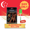 [NDP 2026] WWWAQUA | Elderwood Hollow