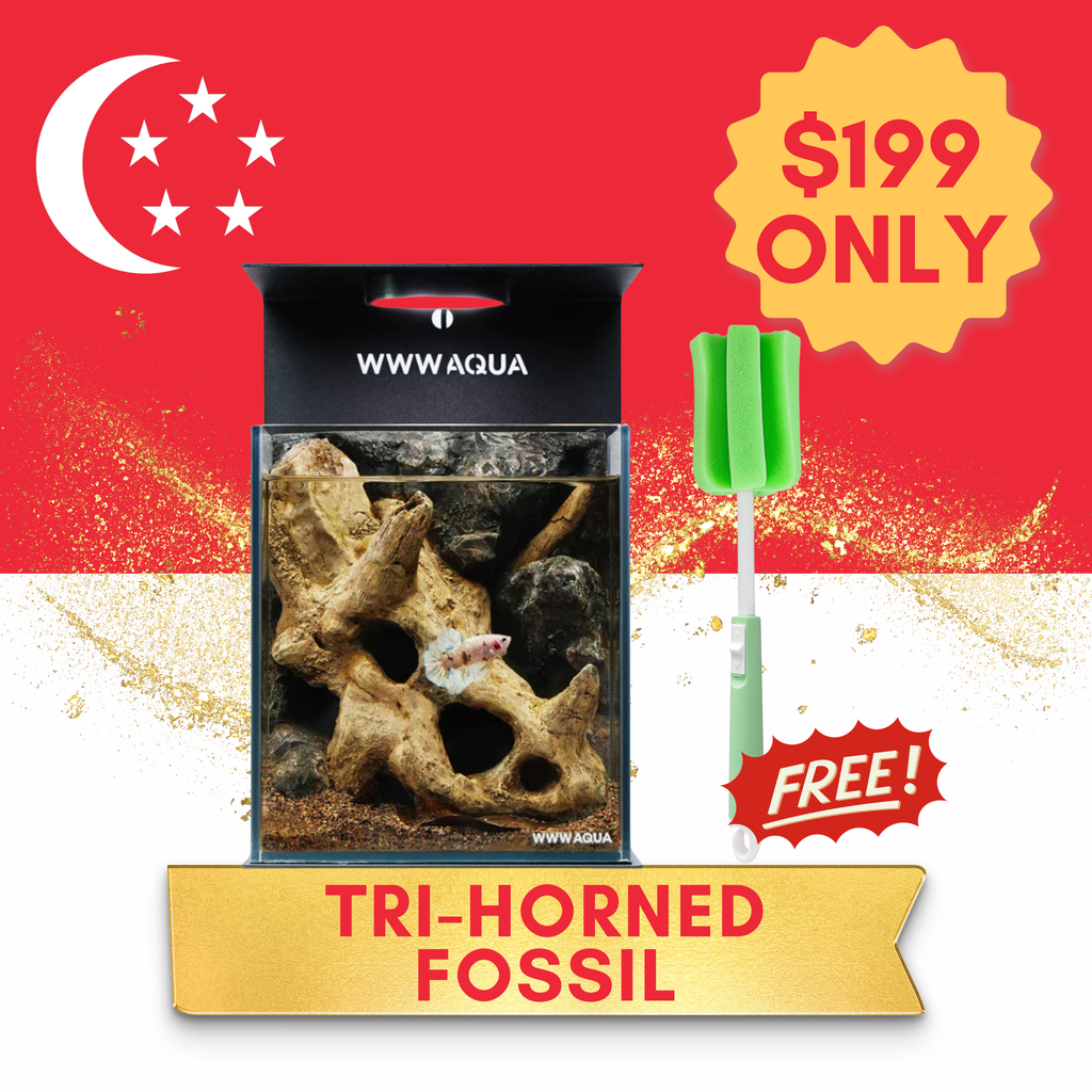 [NDP 2026] WWWAQUA | Tri-Horned Fossil
