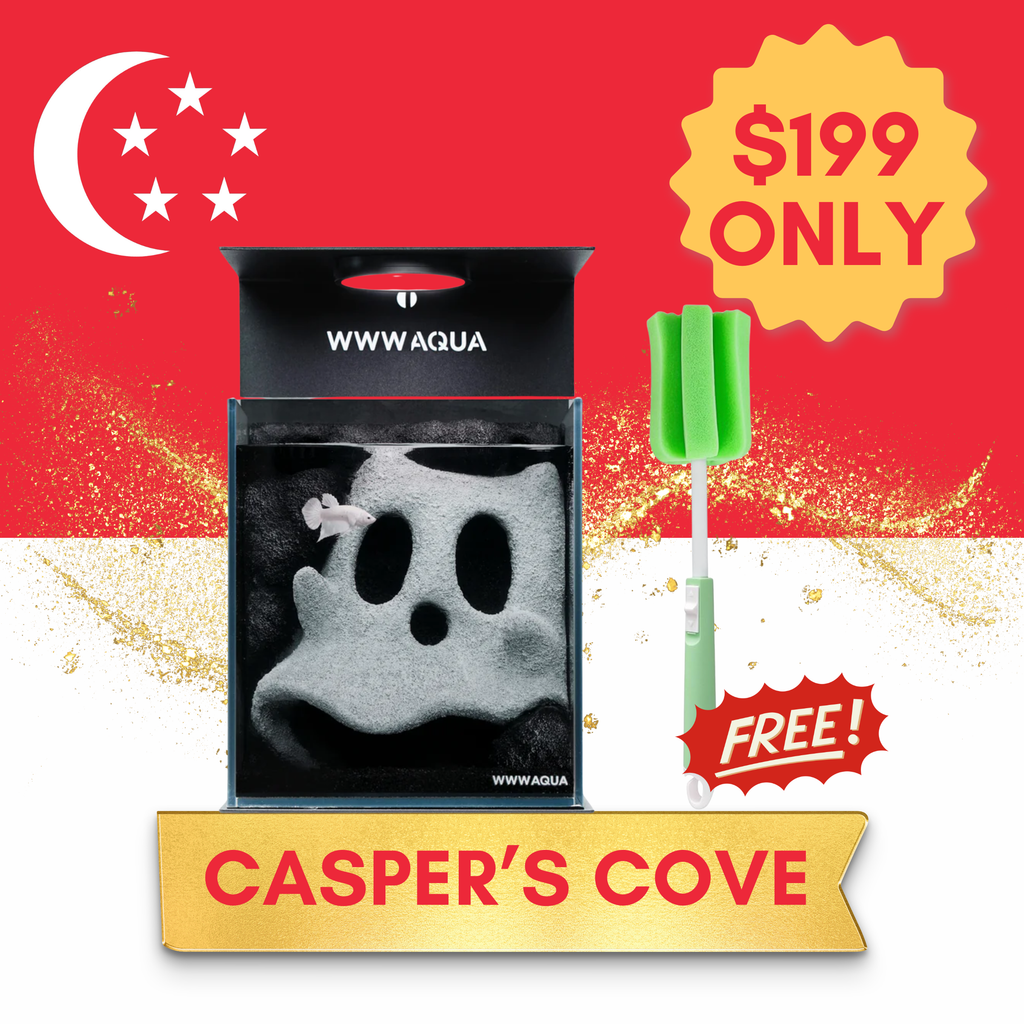 [NDP 2026] WWWAQUA | Casper’s Cove