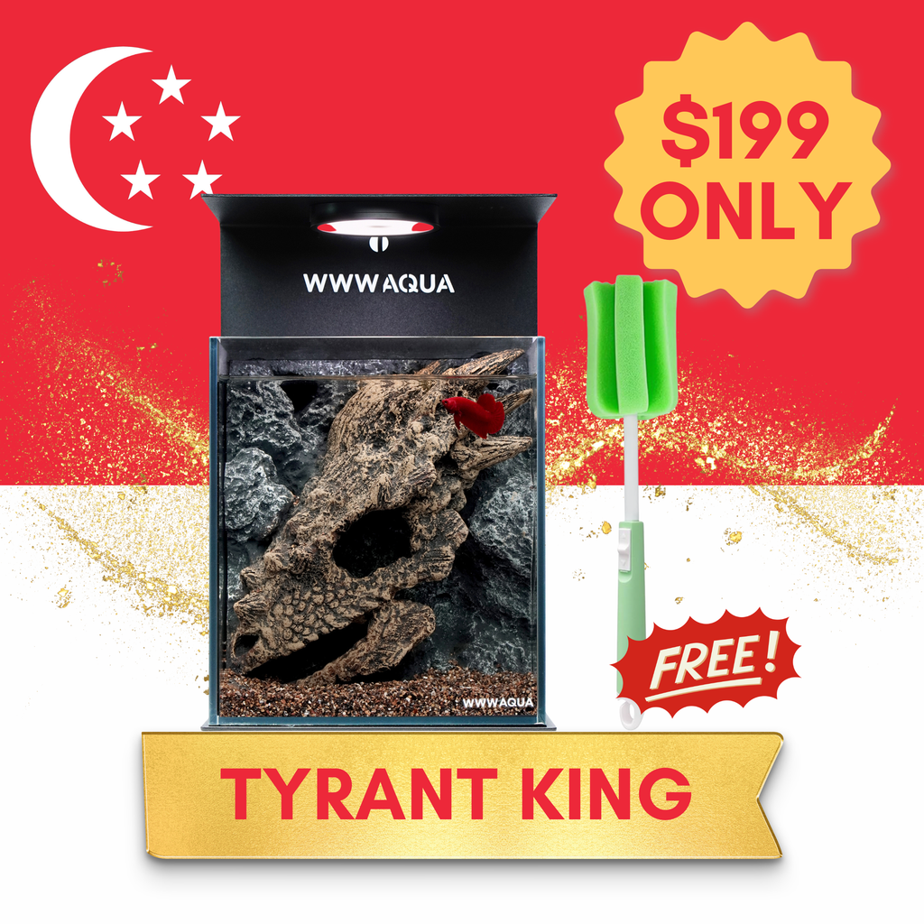 [NDP 2026] WWWAQUA | Tyrant King