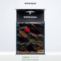 [Pre-Order] WWWAQUA | Ember Abyss