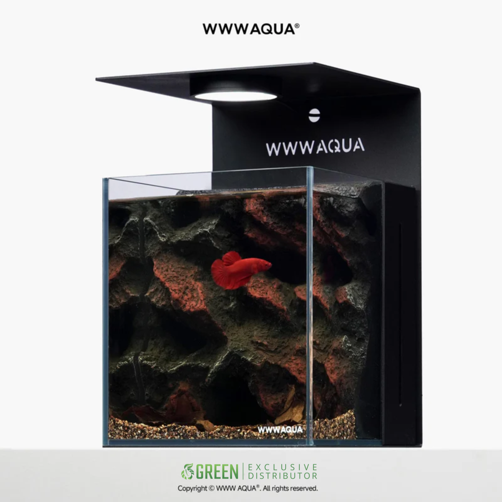 [Pre-Order] WWWAQUA | Ember Abyss