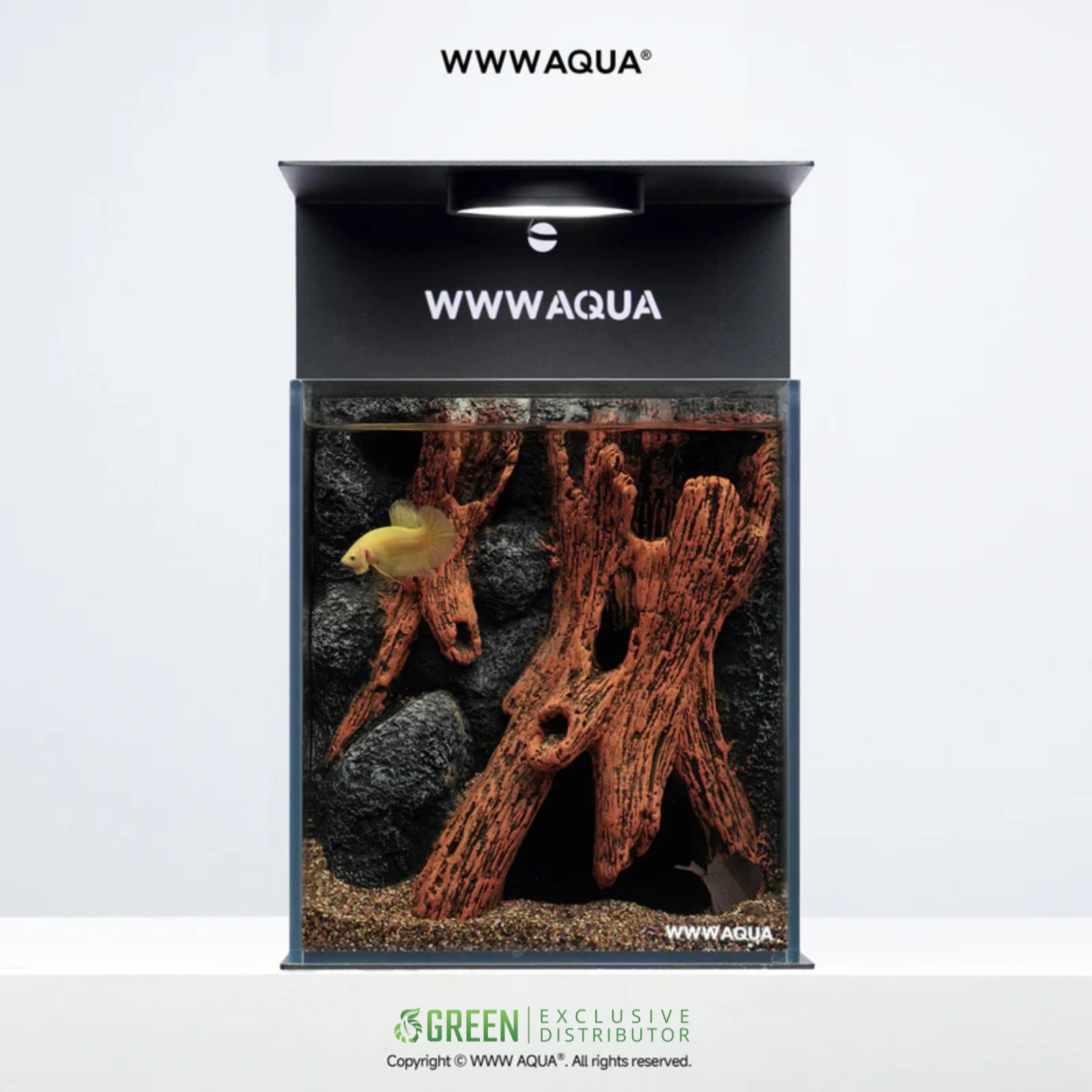 WWWAQUA | Elderwood Hollow