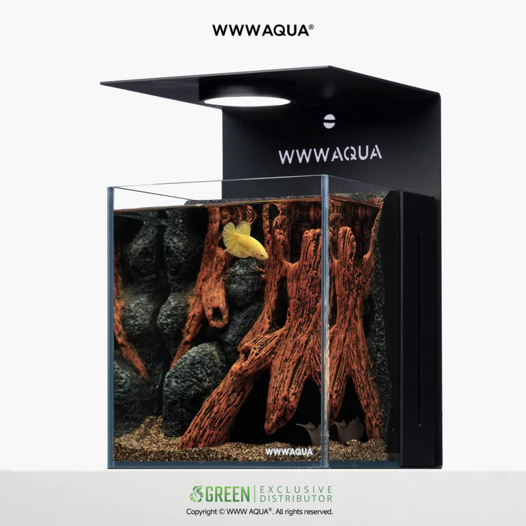 WWWAQUA | Elderwood Hollow