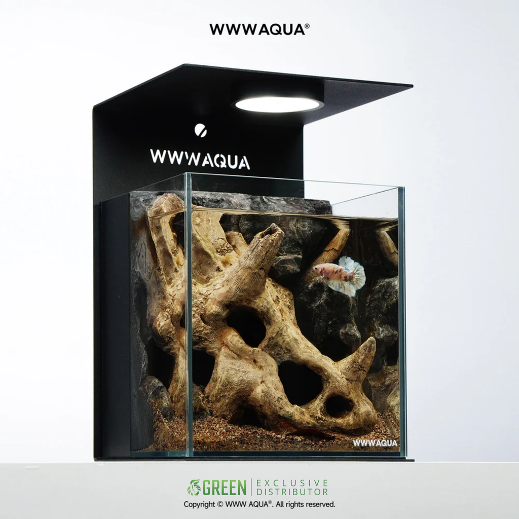 [Pre-order] WWWAQUA | Tri-Horned Fossil