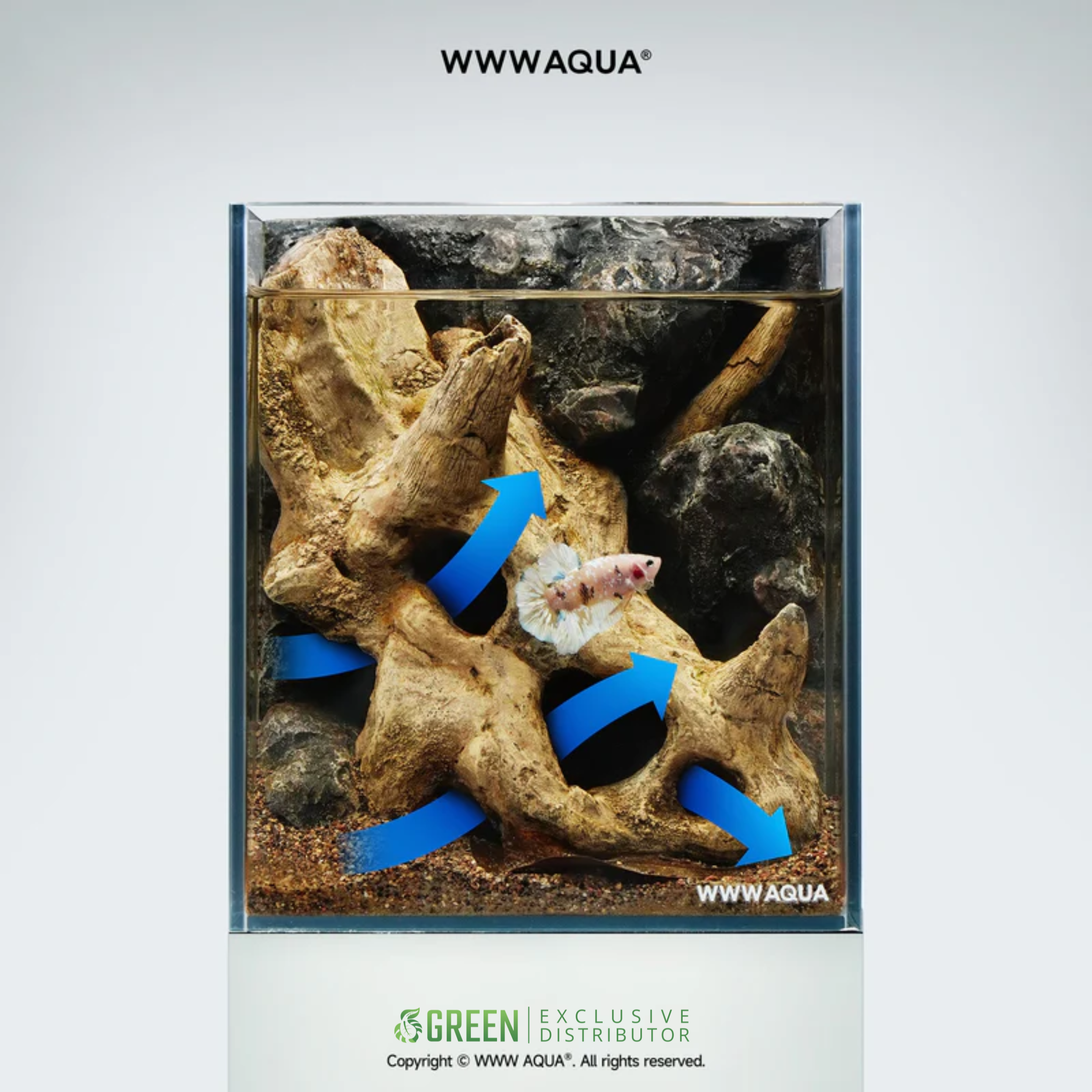 [Pre-order] WWWAQUA | Tri-Horned Fossil