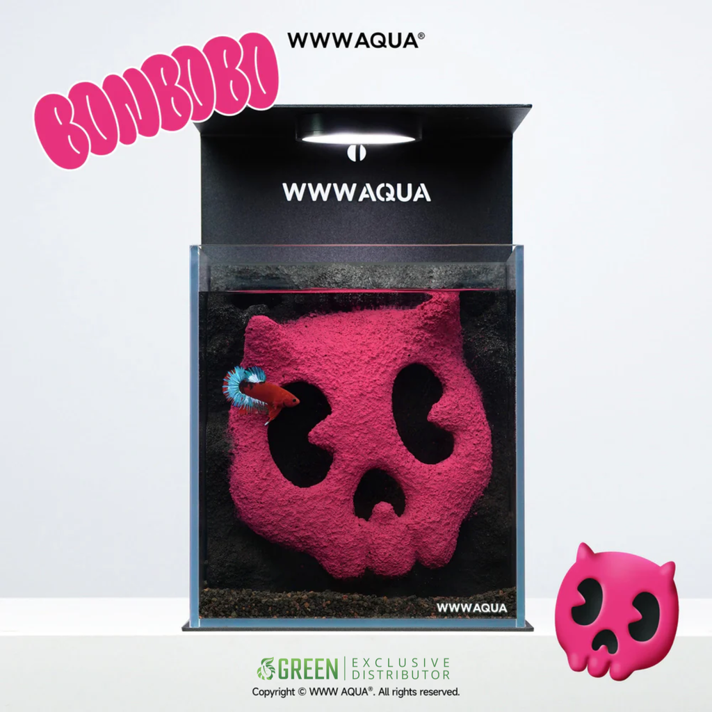 WWWAQUA | Neon Soul: Bonbobo Edition