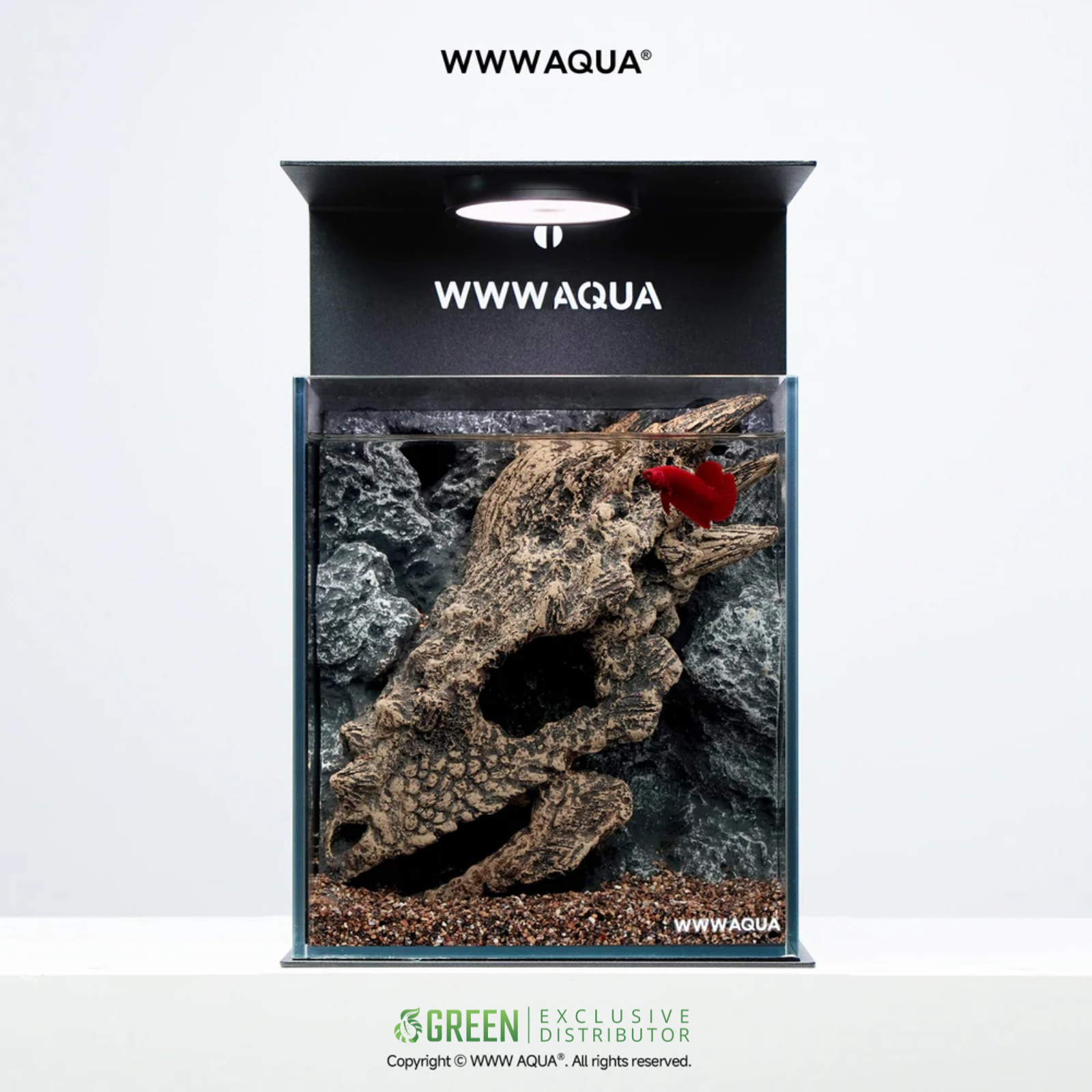 WWWAQUA | Dragon’s Lair