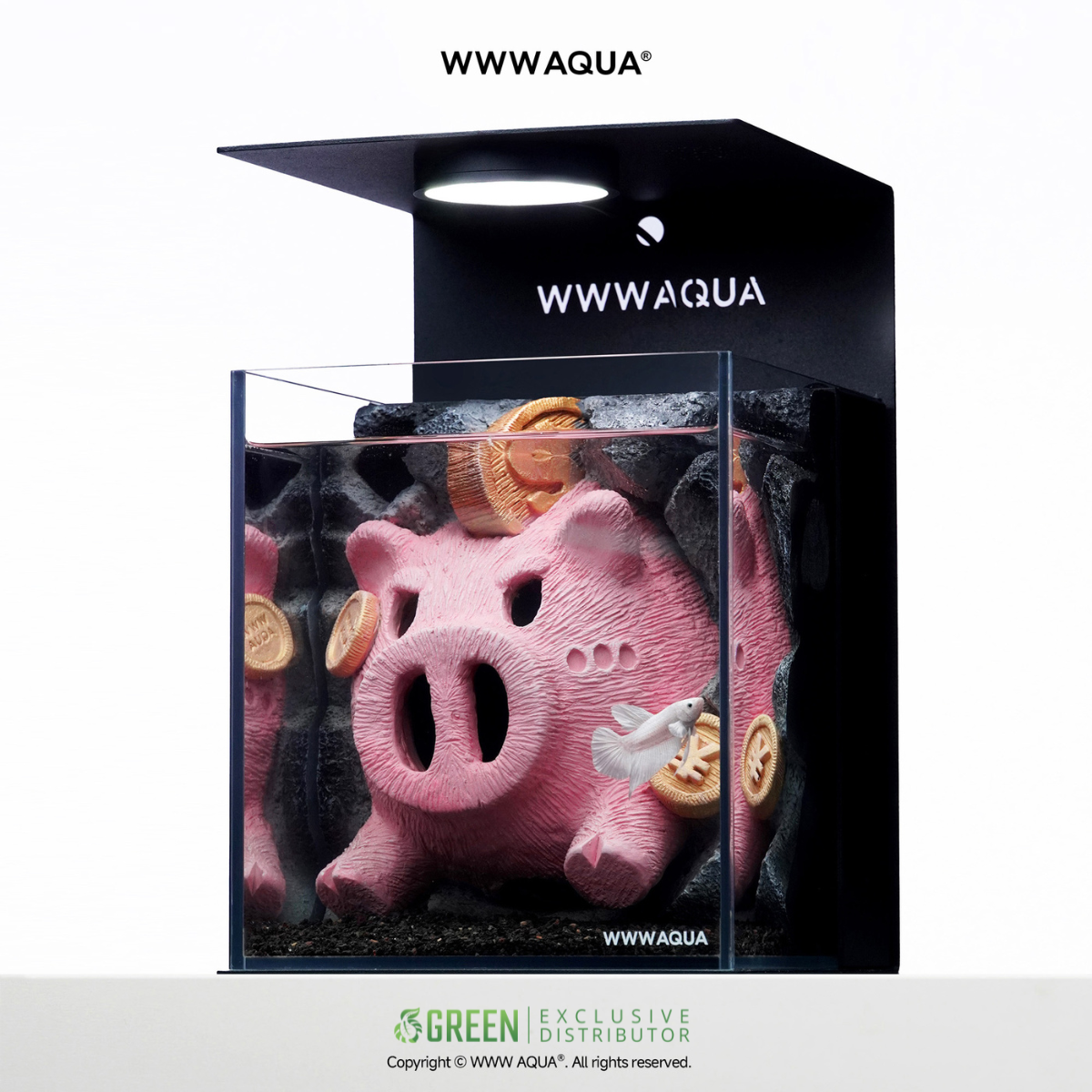 WWWAQUA | Lucky Oink