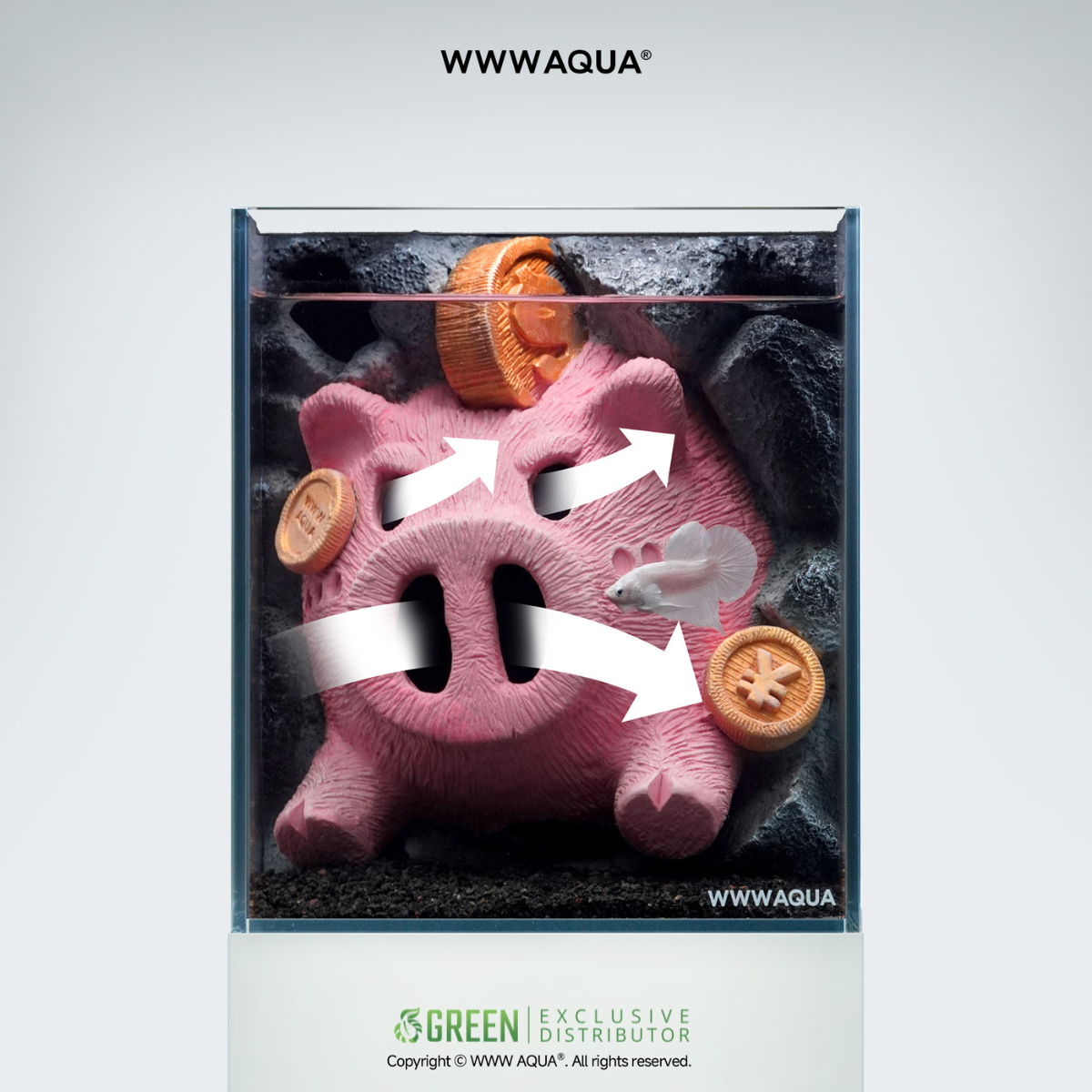 WWWAQUA | Lucky Oink