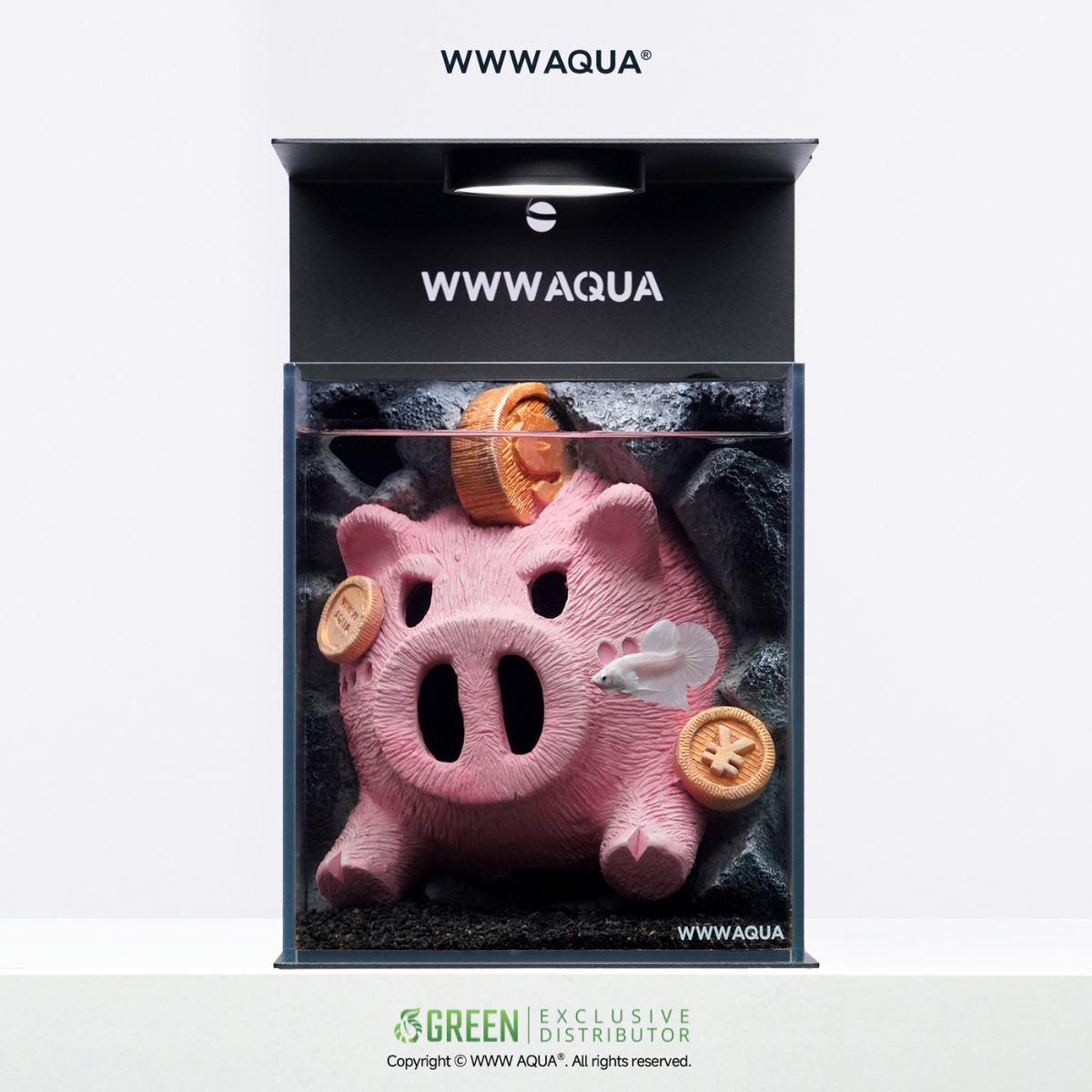 WWWAQUA | Lucky Oink
