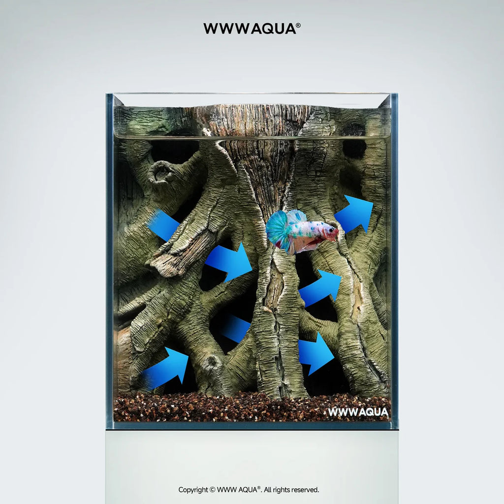 [NEW LAUNCH] WWWAQUA | Ancient Vine