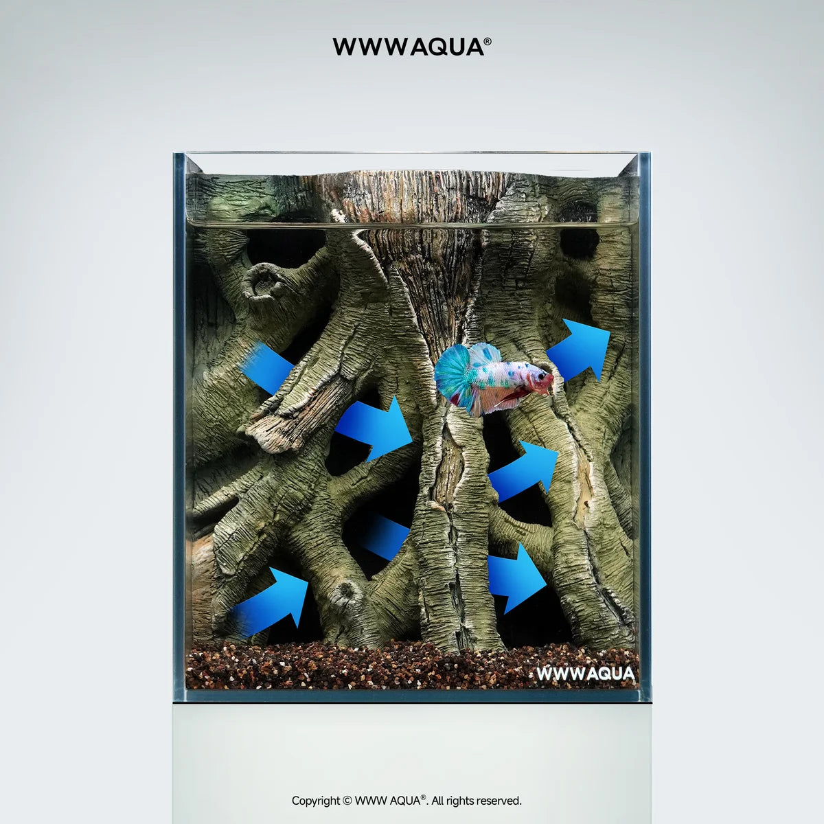 [NEW LAUNCH] WWWAQUA | Ancient Vine