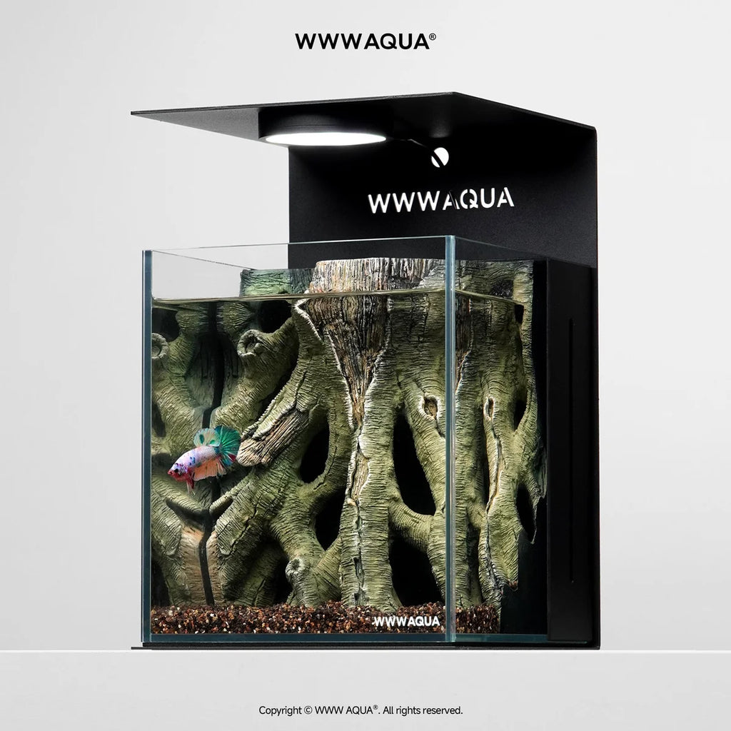 [NEW LAUNCH] WWWAQUA | Ancient Vine