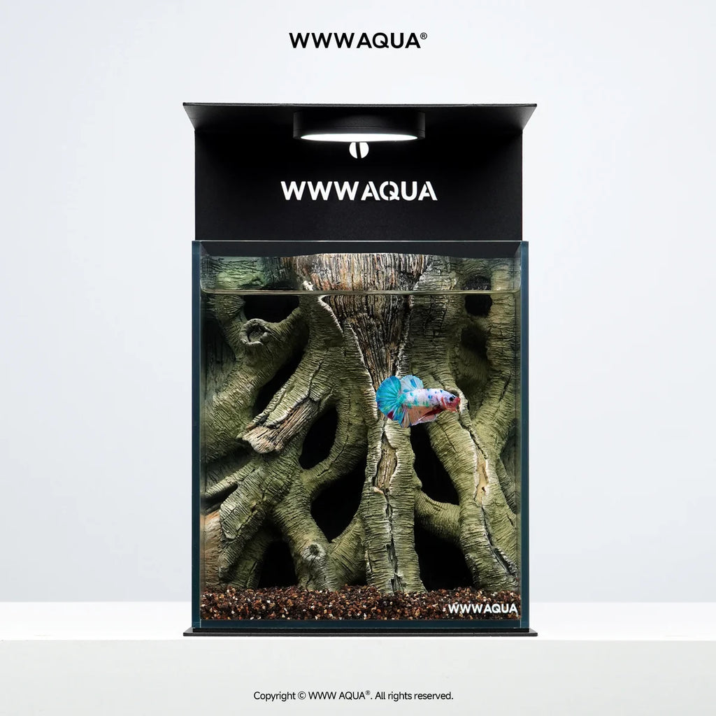 [NEW LAUNCH] WWWAQUA | Ancient Vine