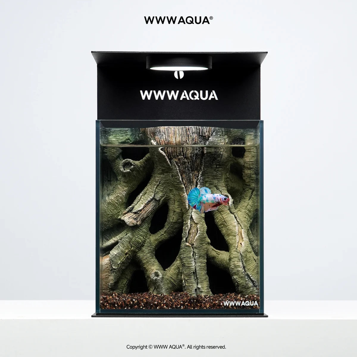 [NEW LAUNCH] WWWAQUA | Ancient Vine