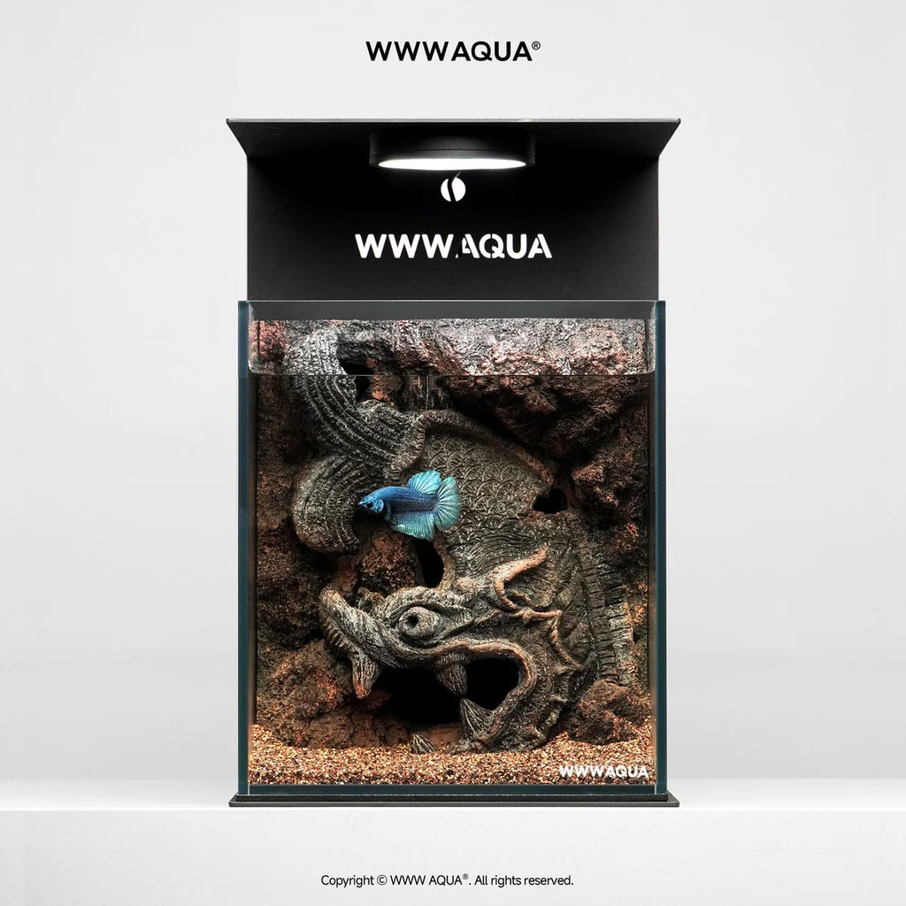 [NEW LAUNCH] WWWAQUA | Emperor's Relic