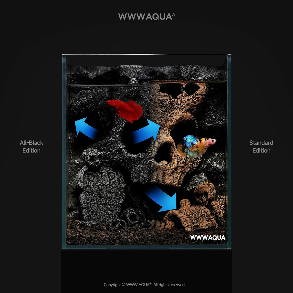 [NEW LAUNCH] WWWAQUA | Forsaken King