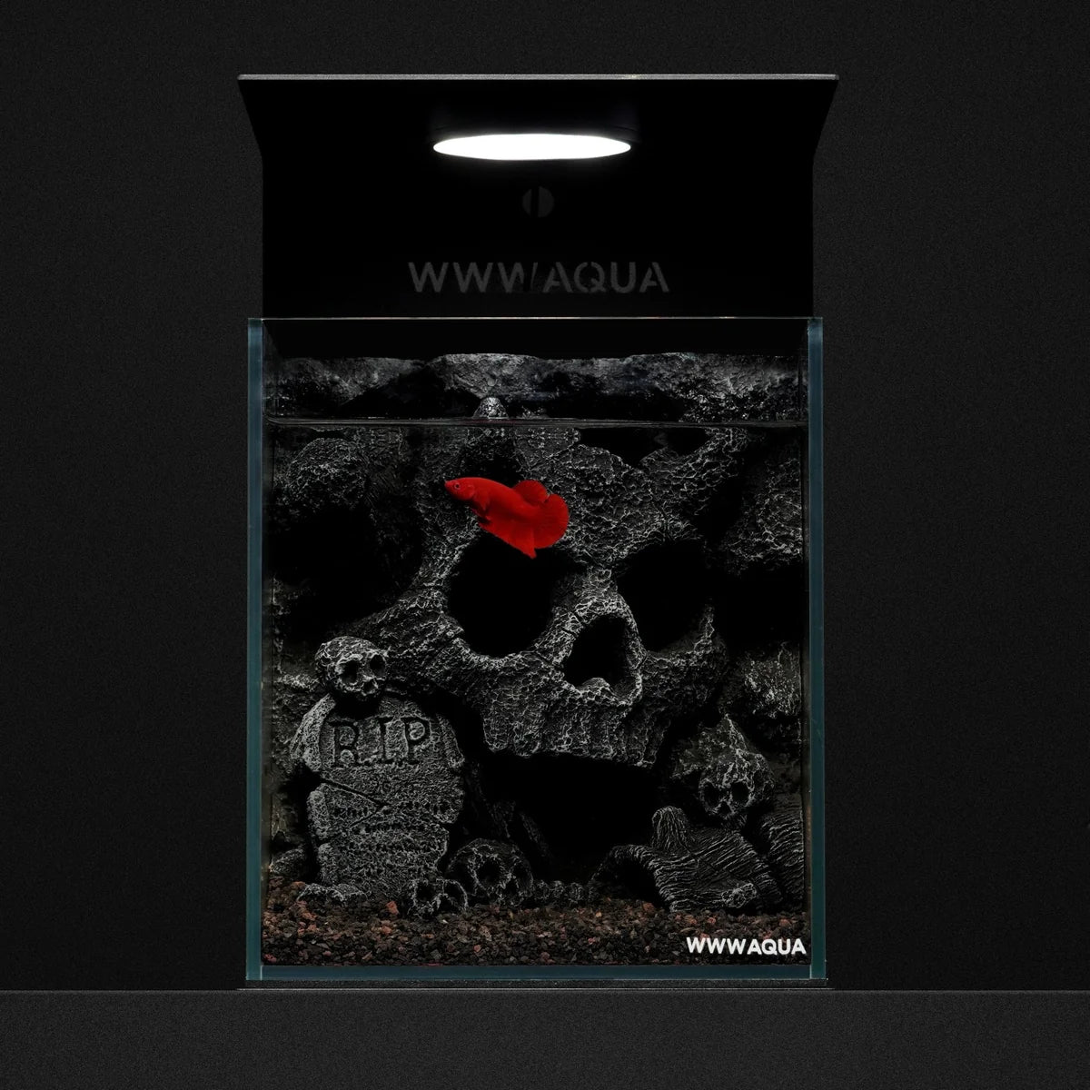 [NEW LAUNCH] WWWAQUA | Forsaken King