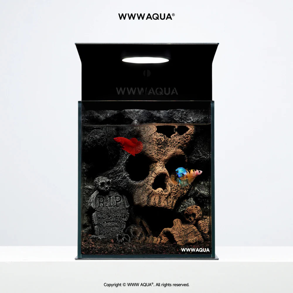 [NEW LAUNCH] WWWAQUA | Forsaken King